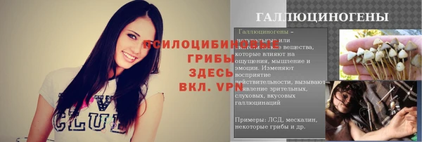 ешки Армянск