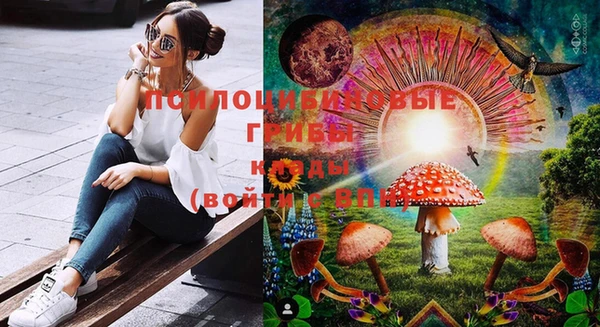 PSILOCYBIN Алексеевка