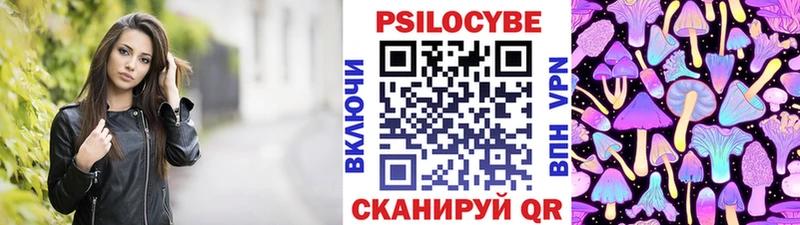 Галлюциногенные грибы Psilocybe  Владивосток 