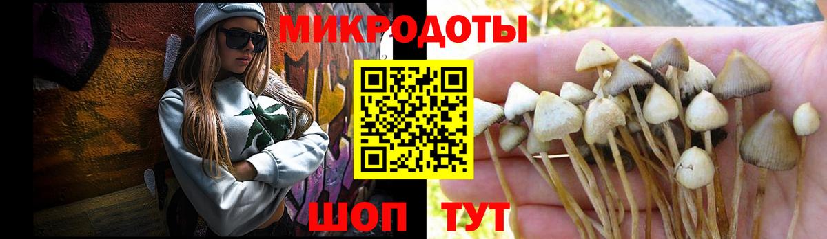 Псилоцибиновые грибы мицелий  Вход с VPN  где купить наркоту  Владивосток 