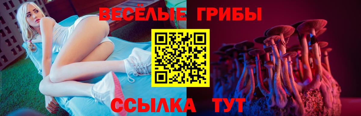 Галлюциногенные грибы Cubensis Владивосток